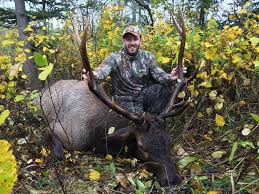 9 Awesome Tips About Elk Hunting Guides